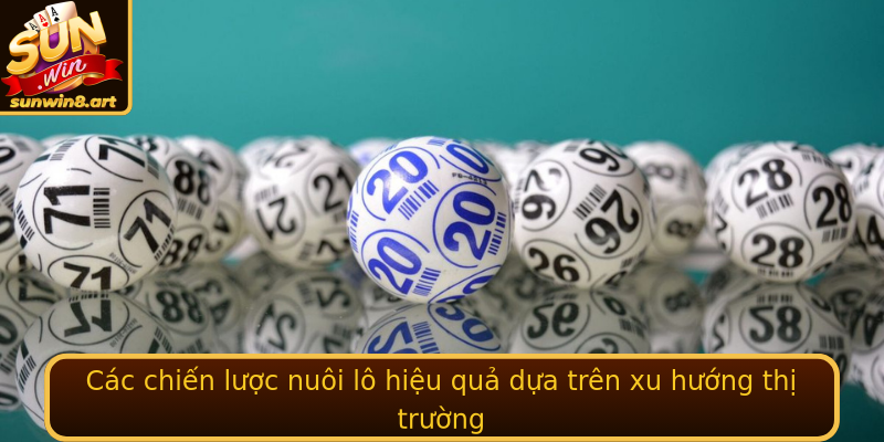 Các chiến lược nuôi lô hiệu quả dựa trên xu hướng thị trường